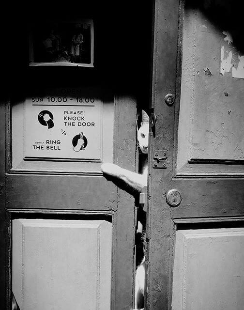 Half Day Photography Course