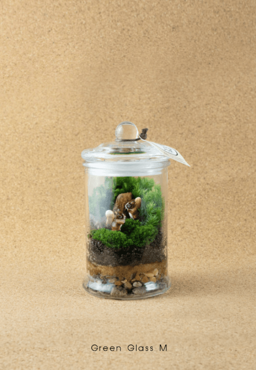 Terrarium Workshop