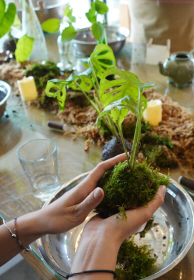 Kokedama Workshop
