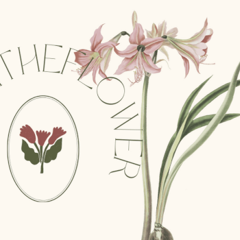 Bhitheflower, floristry teacher