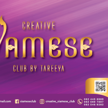 Creative Siamese Club by Tareeya