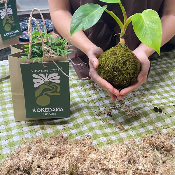 Kokedama Workshop review by Sachi Otsuki - Bangkok