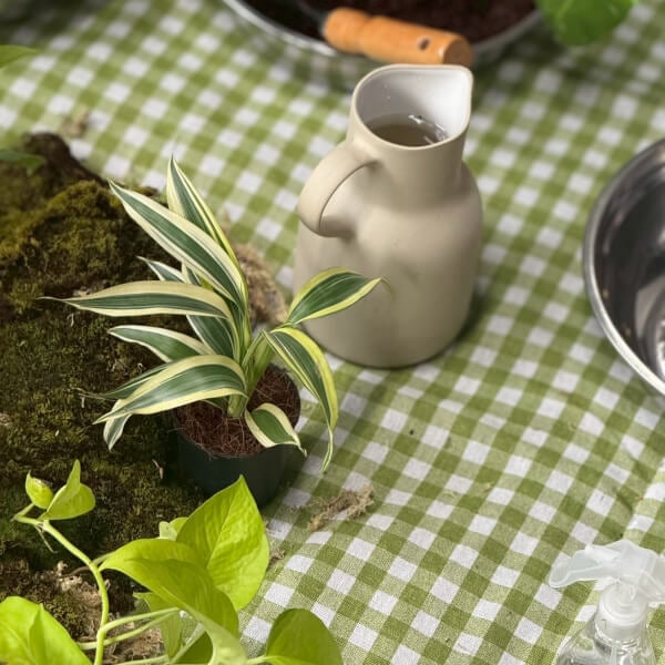 Best gift experience review